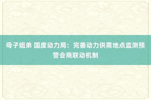 母子姐弟 国度动力局：完善动力供需地点监测预警会商联动机制
