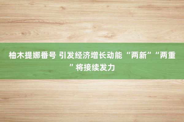 柚木提娜番号 引发经济增长动能 “两新”“两重”将接续发力