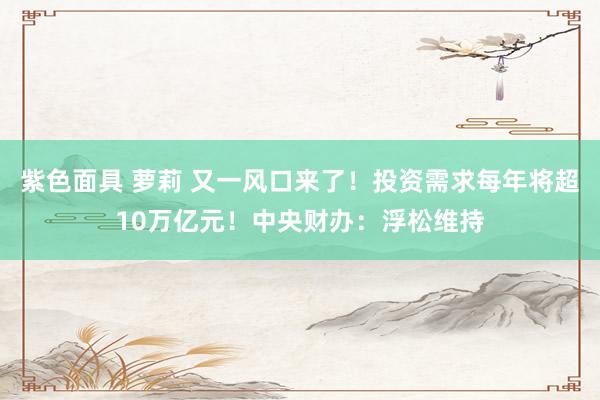 紫色面具 萝莉 又一风口来了！投资需求每年将超10万亿元！中央财办：浮松维持