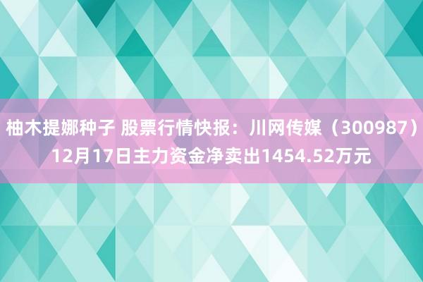 柚木提娜种子 股票行情快报：川网传媒（300987）12月17日主力资金净卖出1454.52万元