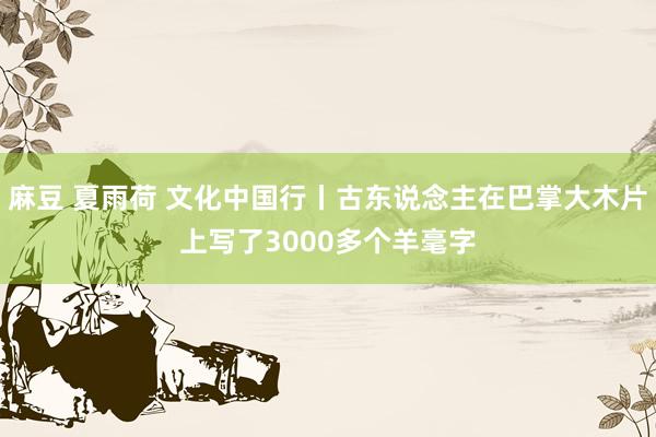 麻豆 夏雨荷 文化中国行丨古东说念主在巴掌大木片上写了3000多个羊毫字