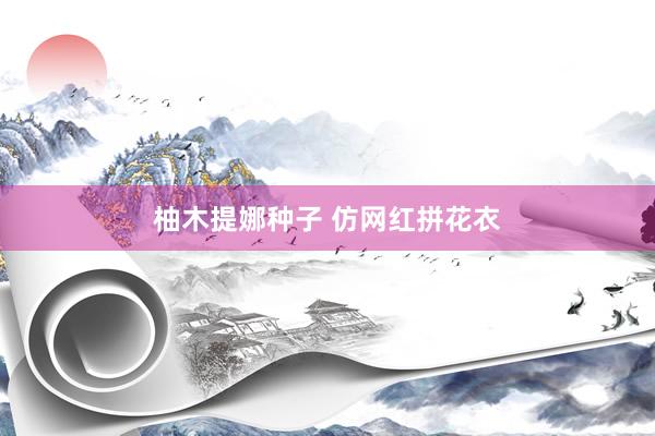 柚木提娜种子 仿网红拼花衣
