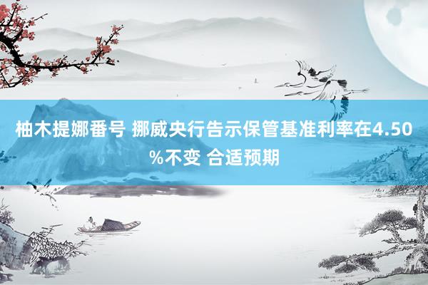 柚木提娜番号 挪威央行告示保管基准利率在4.50%不变 合适预期