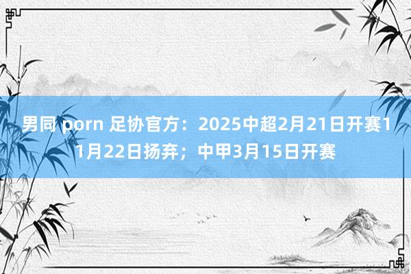 男同 porn 足协官方：2025中超2月21日开赛11月22日扬弃；中甲3月15日开赛