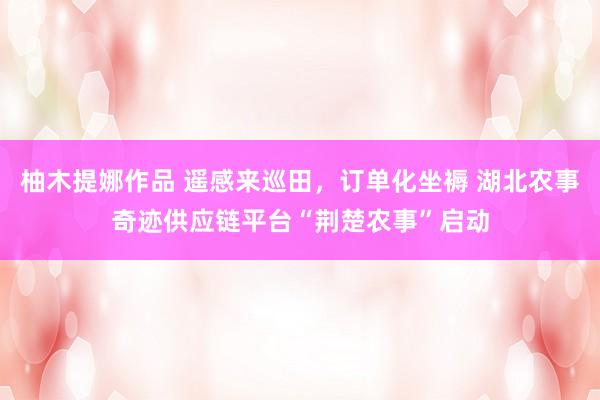 柚木提娜作品 遥感来巡田，订单化坐褥 湖北农事奇迹供应链平台“荆楚农事”启动