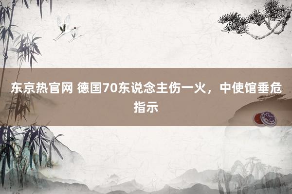 东京热官网 德国70东说念主伤一火，中使馆垂危指示