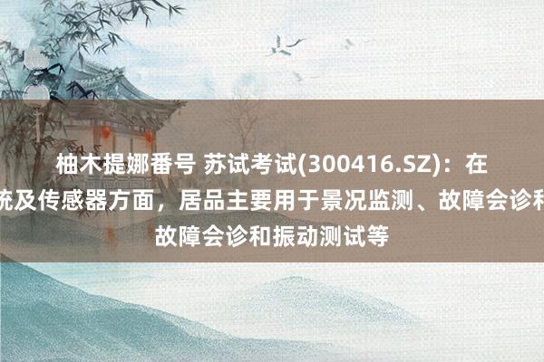 柚木提娜番号 苏试考试(300416.SZ)：在分析测试系统及传感器方面，居品主要用于景况监测、故障会诊和振动测试等