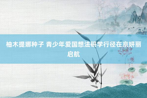 柚木提娜种子 青少年爱国想法研学行径在京妍丽启航