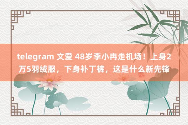 telegram 文爱 48岁李小冉走机场！上身2万5羽绒服，下身补丁裤，这是什么新先锋