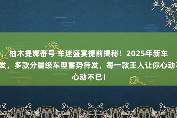 柚木提娜番号 车迷盛宴提前揭秘！2025年新车大爆发，多款分量级车型蓄势待发，每一款王人让你心动不已！