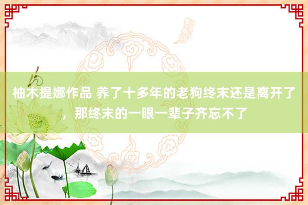 柚木提娜作品 养了十多年的老狗终末还是离开了，那终末的一眼一辈子齐忘不了