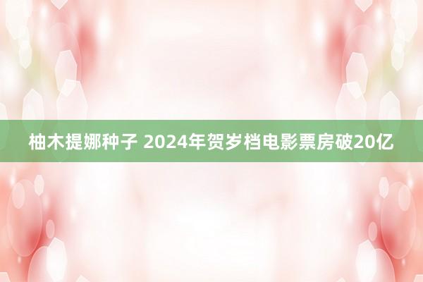 柚木提娜种子 2024年贺岁档电影票房破20亿