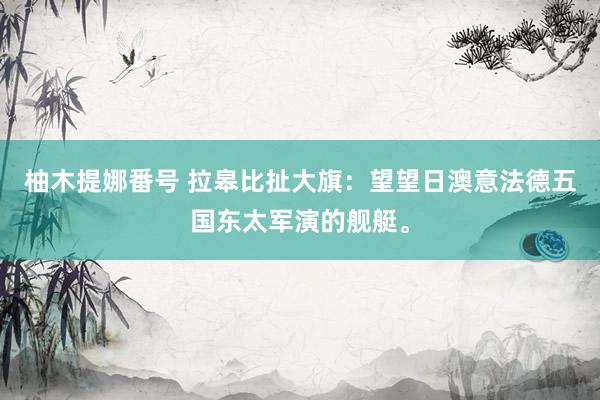 柚木提娜番号 拉皋比扯大旗：望望日澳意法德五国东太军演的舰艇。