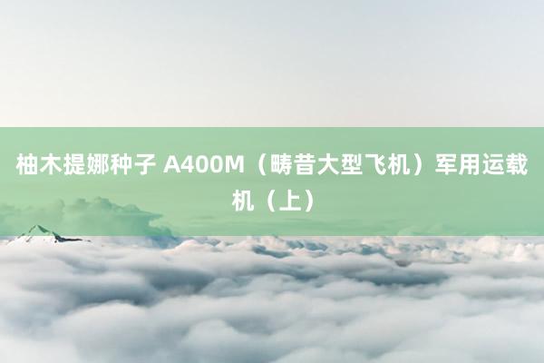 柚木提娜种子 A400M（畴昔大型飞机）军用运载机（上）