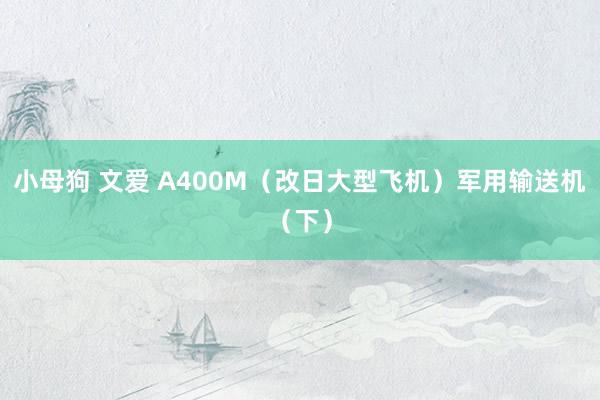 小母狗 文爱 A400M（改日大型飞机）军用输送机（下）