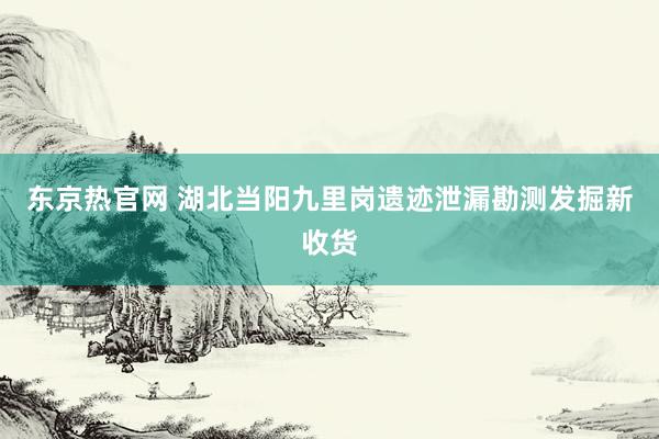 东京热官网 湖北当阳九里岗遗迹泄漏勘测发掘新收货