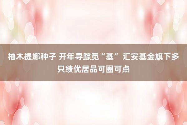 柚木提娜种子 开年寻踪觅“基” 汇安基金旗下多只绩优居品可圈可点