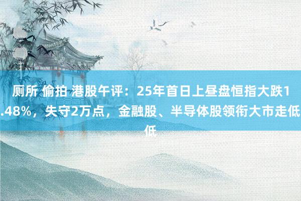 厕所 偷拍 港股午评：25年首日上昼盘恒指大跌1.48%，失守2万点，金融股、半导体股领衔大市走低