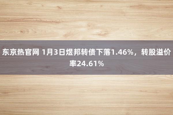 东京热官网 1月3日煜邦转债下落1.46%，转股溢价率24.61%