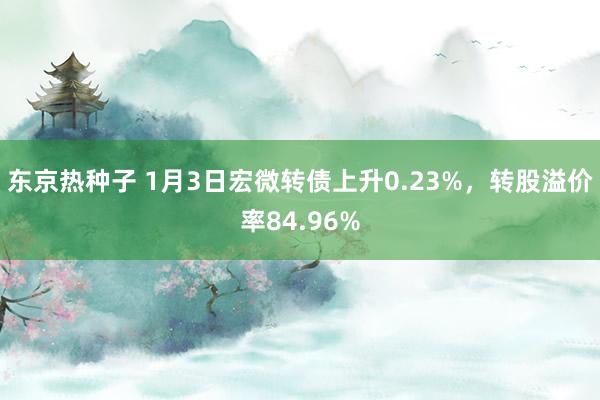 东京热种子 1月3日宏微转债上升0.23%，转股溢价率84.96%