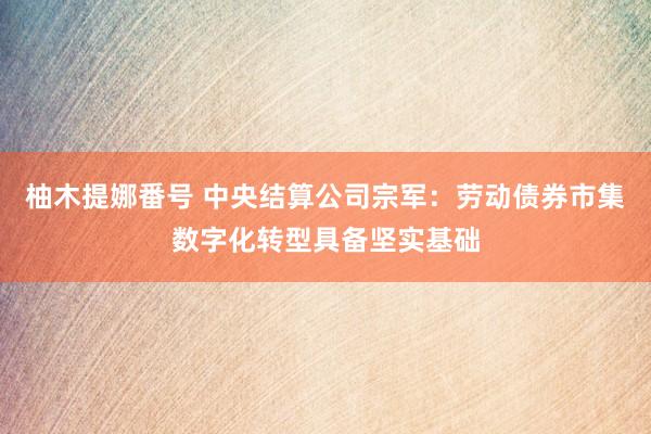 柚木提娜番号 中央结算公司宗军：劳动债券市集数字化转型具备坚实基础