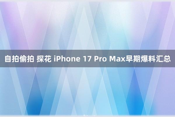 自拍偷拍 探花 iPhone 17 Pro Max早期爆料汇总