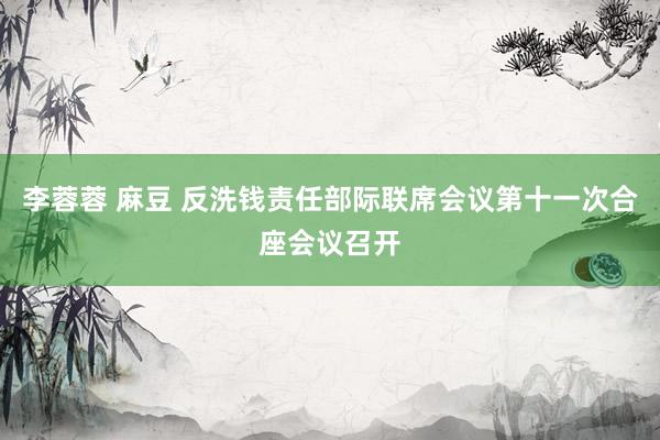 李蓉蓉 麻豆 反洗钱责任部际联席会议第十一次合座会议召开