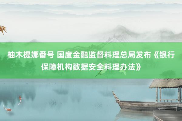 柚木提娜番号 国度金融监督料理总局发布《银行保障机构数据安全料理办法》