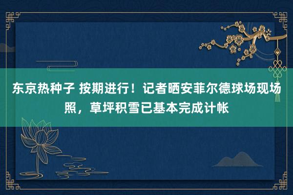 东京热种子 按期进行！记者晒安菲尔德球场现场照，草坪积雪已基本完成计帐