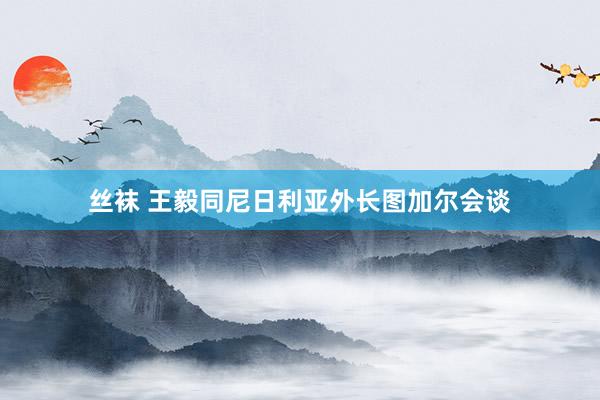 丝袜 王毅同尼日利亚外长图加尔会谈