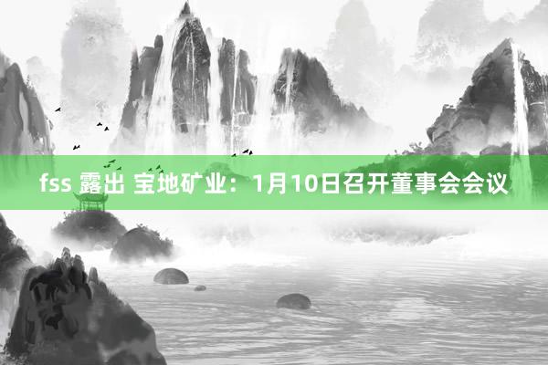 fss 露出 宝地矿业：1月10日召开董事会会议
