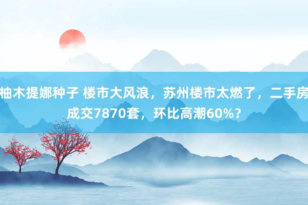 柚木提娜种子 楼市大风浪，苏州楼市太燃了，二手房成交7870套，环比高潮60%？