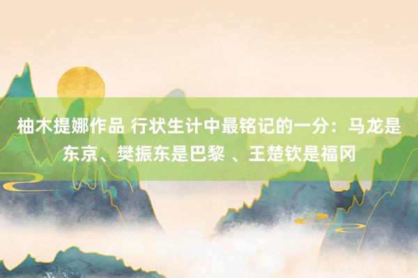 柚木提娜作品 行状生计中最铭记的一分：马龙是东京、樊振东是巴黎 、王楚钦是福冈