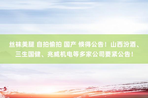 丝袜美腿 自拍偷拍 国产 倏得公告！山西汾酒、三生国健、兆威机电等多家公司要紧公告！