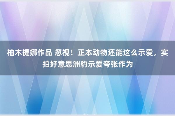 柚木提娜作品 忽视！正本动物还能这么示爱，实拍好意思洲豹示爱夸张作为