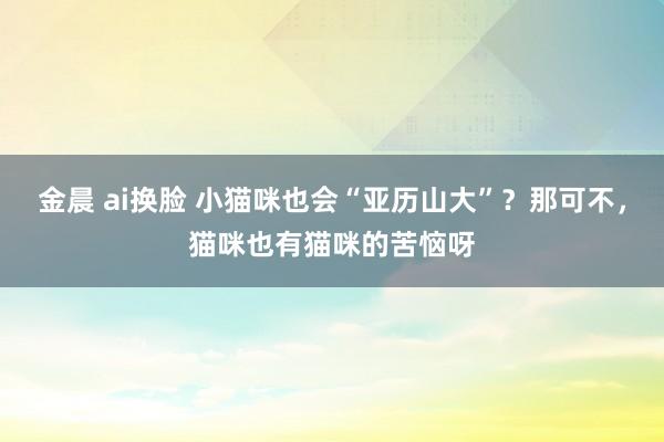 金晨 ai换脸 小猫咪也会“亚历山大”？那可不，猫咪也有猫咪的苦恼呀