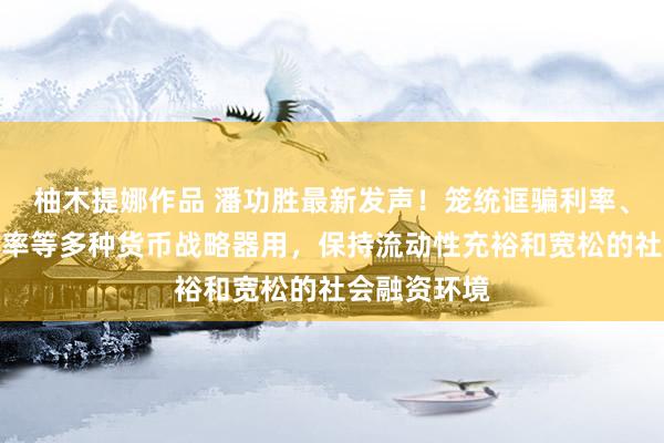 柚木提娜作品 潘功胜最新发声！笼统诓骗利率、进款准备金率等多种货币战略器用，保持流动性充裕和宽松的社会融资环境