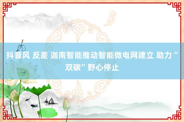 抖音风 反差 迦南智能推动智能微电网建立 助力“双碳”野心停止