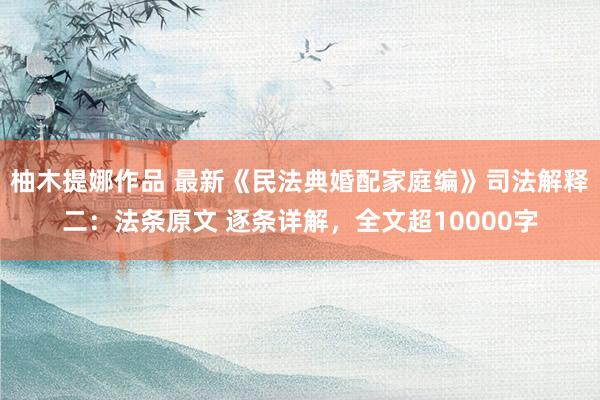 柚木提娜作品 最新《民法典婚配家庭编》司法解释二：法条原文 逐条详解，全文超10000字