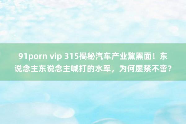 91porn vip 315揭秘汽车产业黧黑面！东说念主东说念主喊打的水军，为何屡禁不啻？