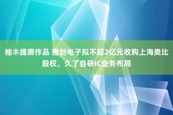 柚木提娜作品 雅创电子拟不超2亿元收购上海类比股权，久了自研IC业务布局