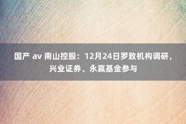 国产 av 南山控股：12月24日罗致机构调研，兴业证券、永赢基金参与