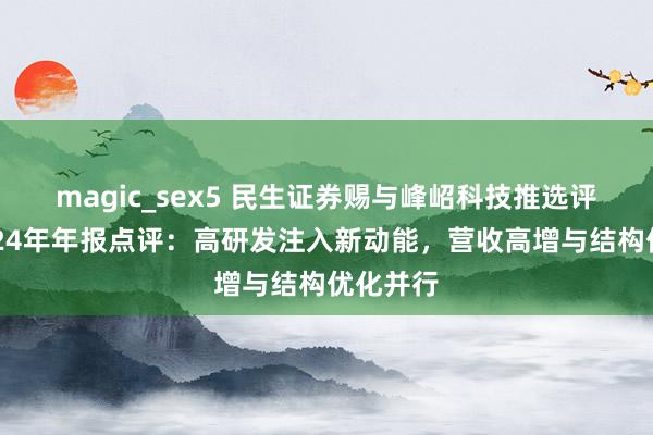 magic_sex5 民生证券赐与峰岹科技推选评级，2024年年报点评：高研发注入新动能，营收高增与结构优化并行