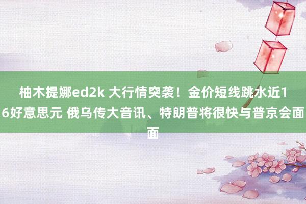 柚木提娜ed2k 大行情突袭！金价短线跳水近16好意思元 俄乌传大音讯、特朗普将很快与普京会面