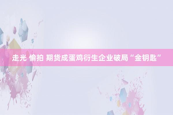 走光 偷拍 期货成蛋鸡衍生企业破局“金钥匙”